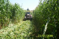 /album/quaresrl/immagine-659-jpg/